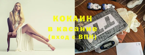 гидра Алексин