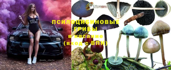 прущие грибы Алексеевка