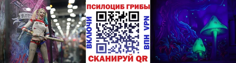 купить наркоту Углегорск Псилоцибиновые грибы мицелий